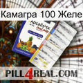 Камагра 100 Желе 11